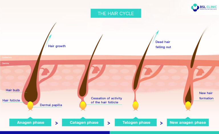 Thinning Hair & Hair Loss - Bangkok Aesthetic Clinic