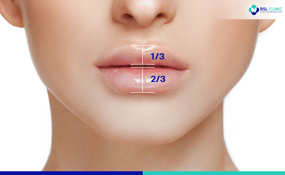 Fontal-View--Features-of-Ideal-Lips-