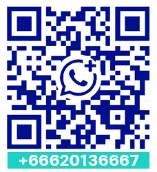 WhatsApp QR