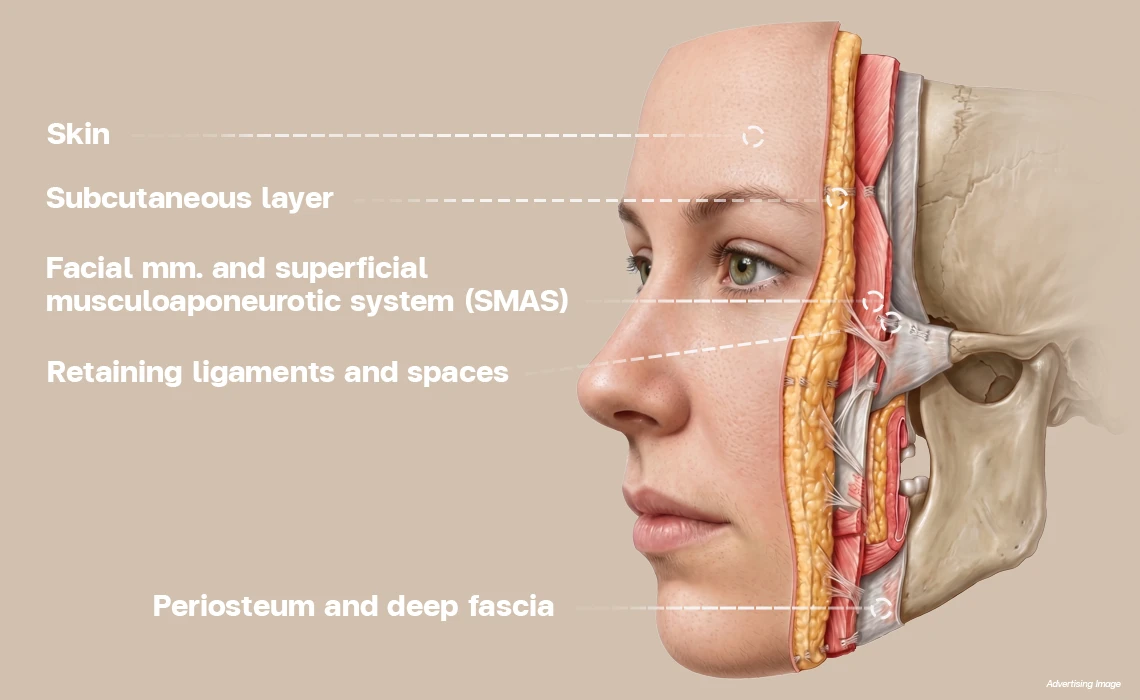 Because facial aging happens across multiple layers